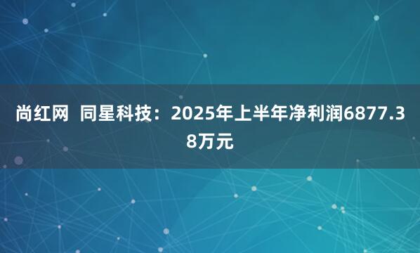 尚红网  同星科技：2025年上半年净利润6877.38万元