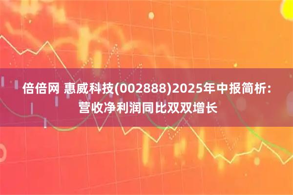 倍倍网 惠威科技(002888)2025年中报简析: 营收净利润同比双双增长
