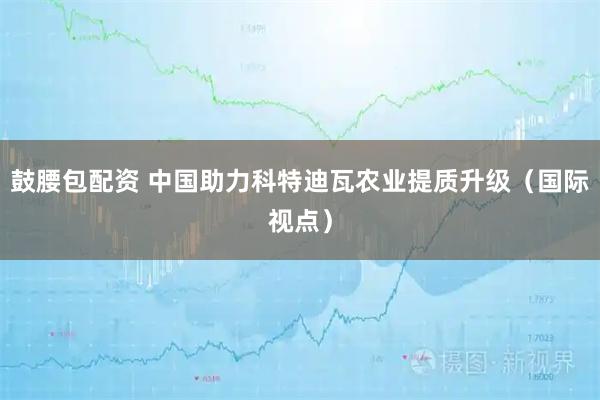 鼓腰包配资 中国助力科特迪瓦农业提质升级（国际视点）